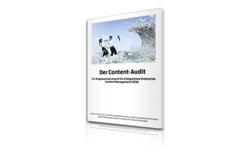 Whitepaper von Comarch Der Content Audit