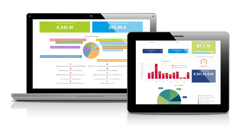 Dashboard Forderung und Verbindlichkeiten Comarch Business Intelligence