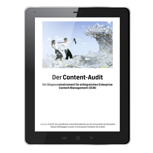 Der Content-Audit