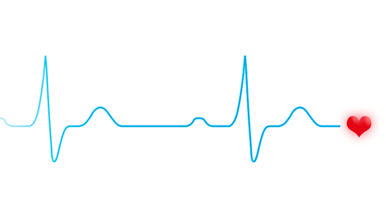 CardioVest Medical Analysis Platform