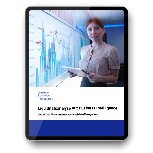 E-Book: Effizientes Liquiditätsmanagement & umfassende Cashflow-Analysen