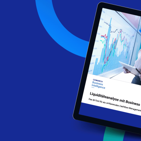 E-Book: Liquiditätsanalysen und Cashflow-Management