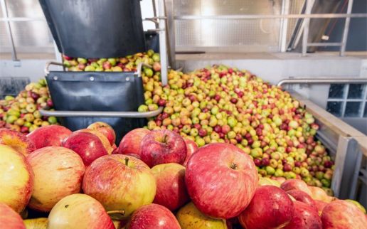 Comarch Industrie 4.0 für die Louis Ditzler AG