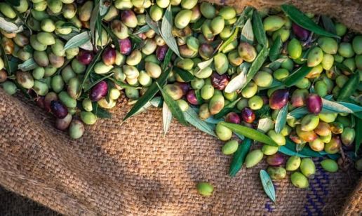 Monini entscheidet sich für die EDI-Plattform von Comarch