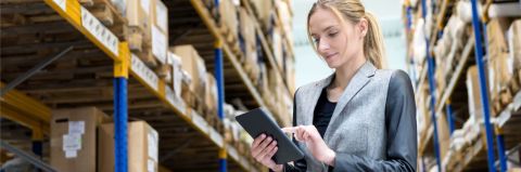 E-Book: Internationalisierung im ERP abbilden