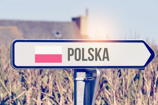 Webinar: So gelingt Internationalisierung - ERP als Basis für Ihre Erfolgsprojekte in Polen