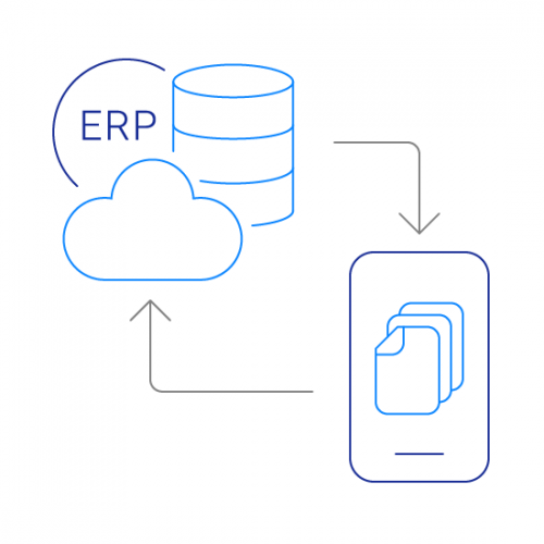 ERP Integration DMS