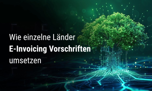 Regionale Strategien bei E-Rechnungsmandaten: Fallstudien aus Europa und darüber hinaus