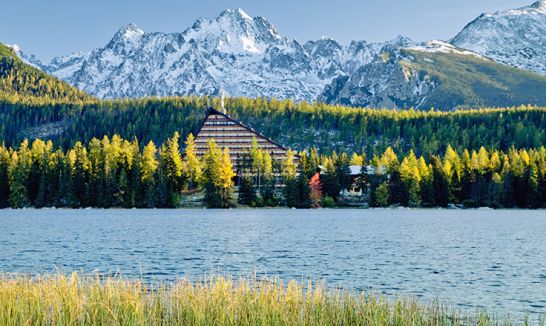 Slowakei startet &ouml;ffentliche Konsultation zur verpflichtenden E-Rechnungsstellung (wirksam 2027)