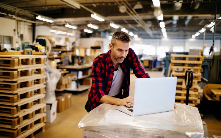 DIY: Vertrieb, Logistik & Lieferketten optimieren in der Baumarkt-, Heimwerker-, Garten- und Haustierbedarf-Branche