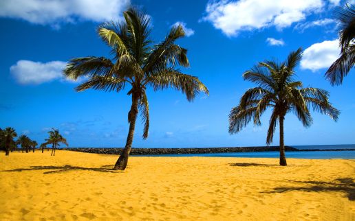 Partnerschaft von Comarch und Thomas Cook