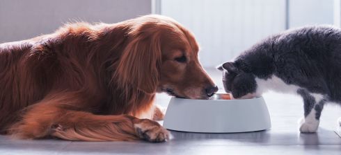 Deutsche Tiernahrung Cremer